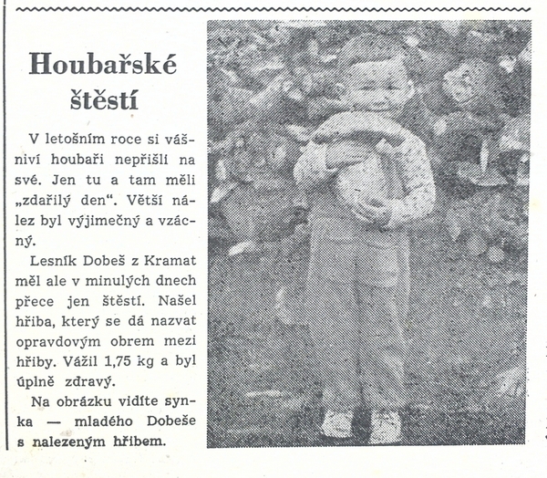 houbarskestesti (1)