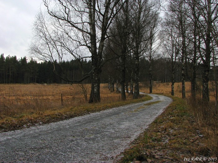 okraj Volar 750 metrů n.m. 3.1. 2013, poprašek sněhu