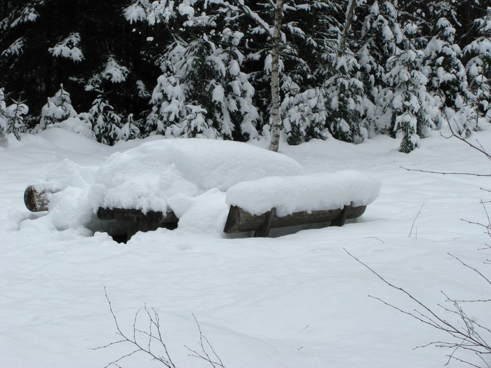 U německého Spiegelau 12. února