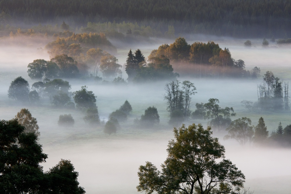 rasnice u vlcich jam