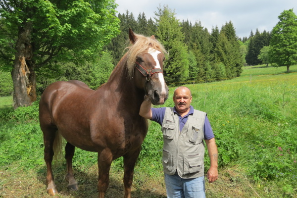 prvnikocispravymilospozdenapracujevlesichkolemstrazneho