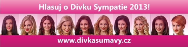 2013 divka sympatie partneri landscape