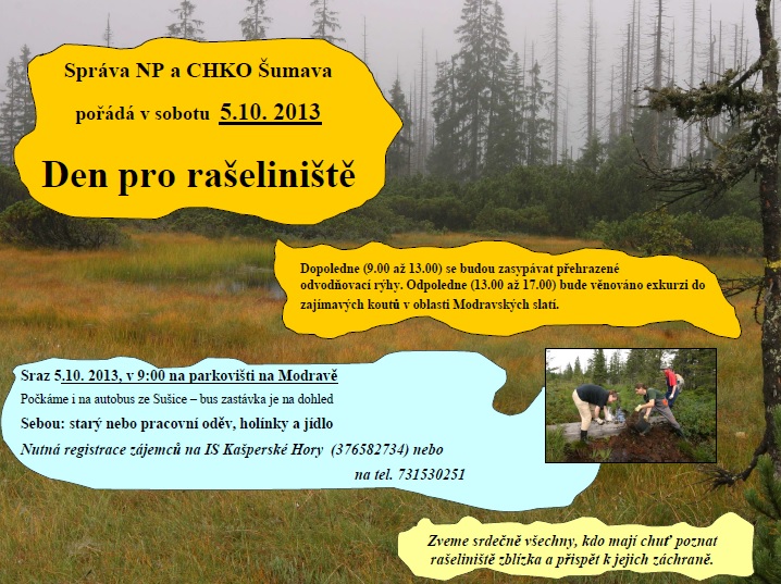 den raseliniste 5 10 13