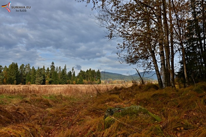 Volary 15. října 2013