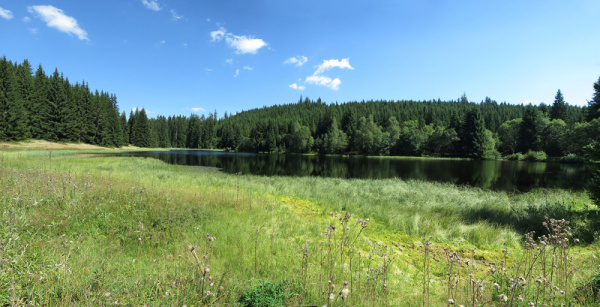 zdarecke jezirko 2 web