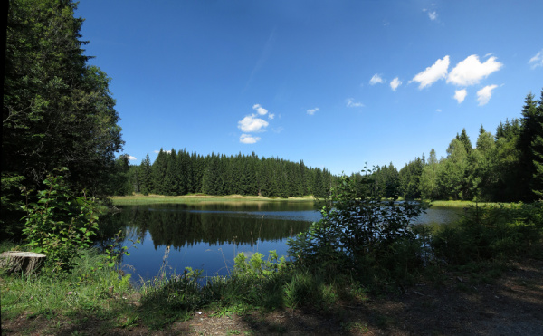 zdarecke jezirko web