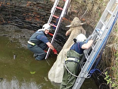 1312-05g-(corrida-po-cesku)