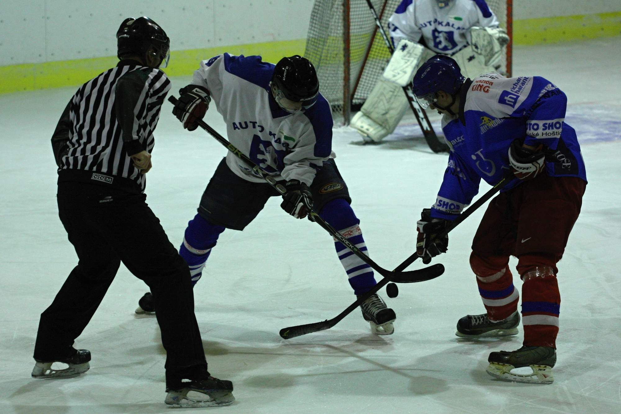 cehnice hokej