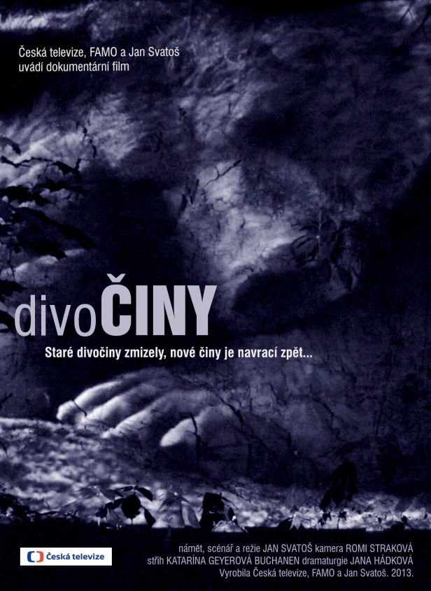 plakat divociny