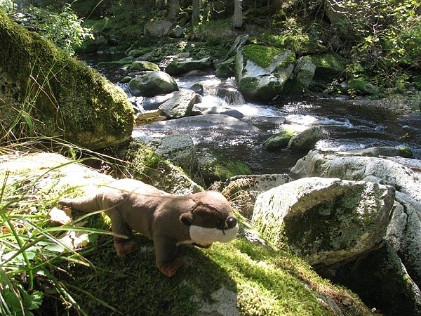 vydrýsek-romana paťourková