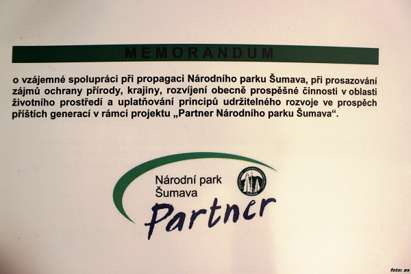 partner10