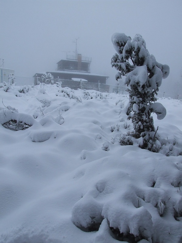 churáňov 24.3.2014 ráno 20 cm nového sněhu ii
