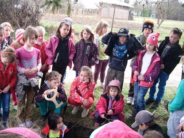 otvirani studanek pampeliska 11