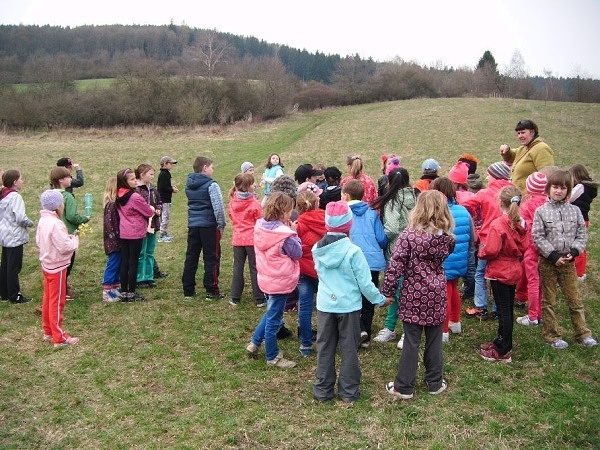 otvirani studanek pampeliska 20