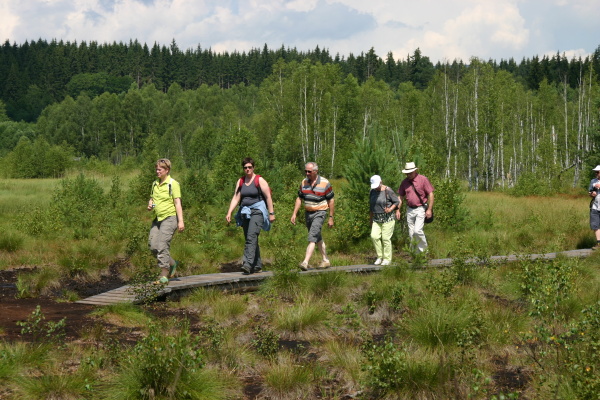 img 7246 soumarske raseliniste-povalka 2