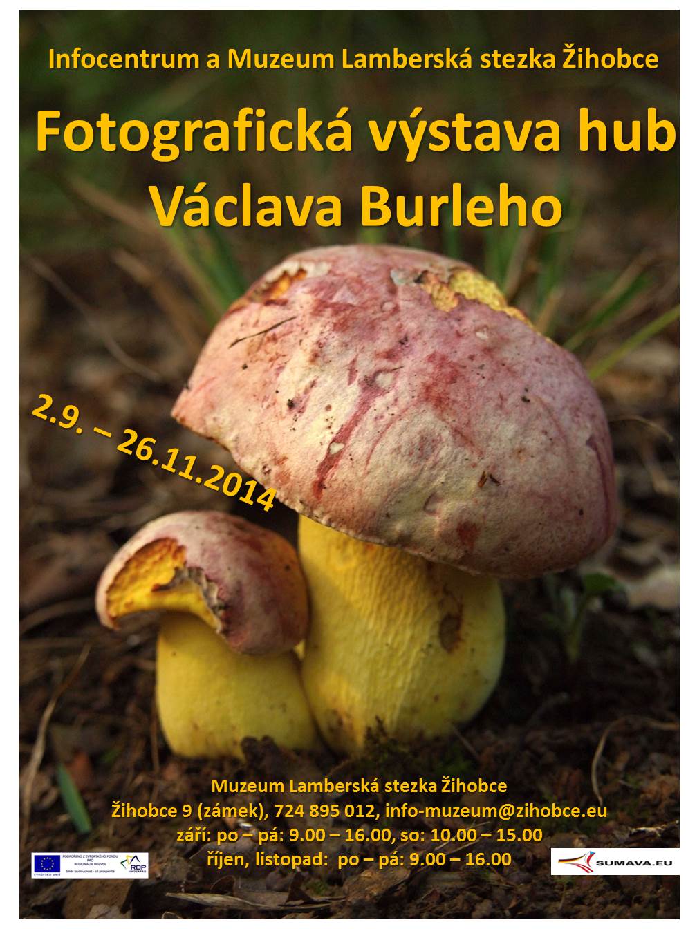 burle výstava hub 2014 2
