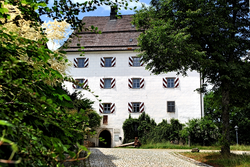 zamek wolfstein