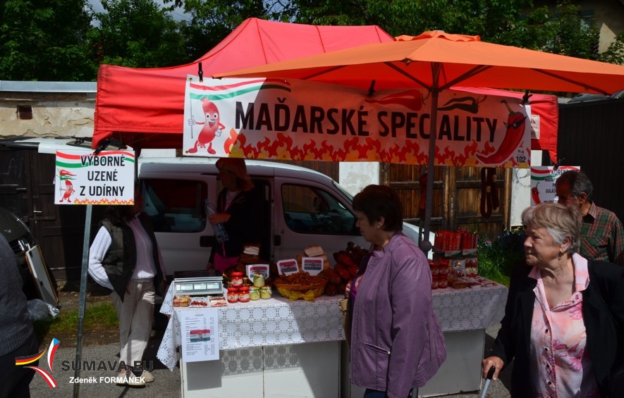 vimperska pout 2015  6