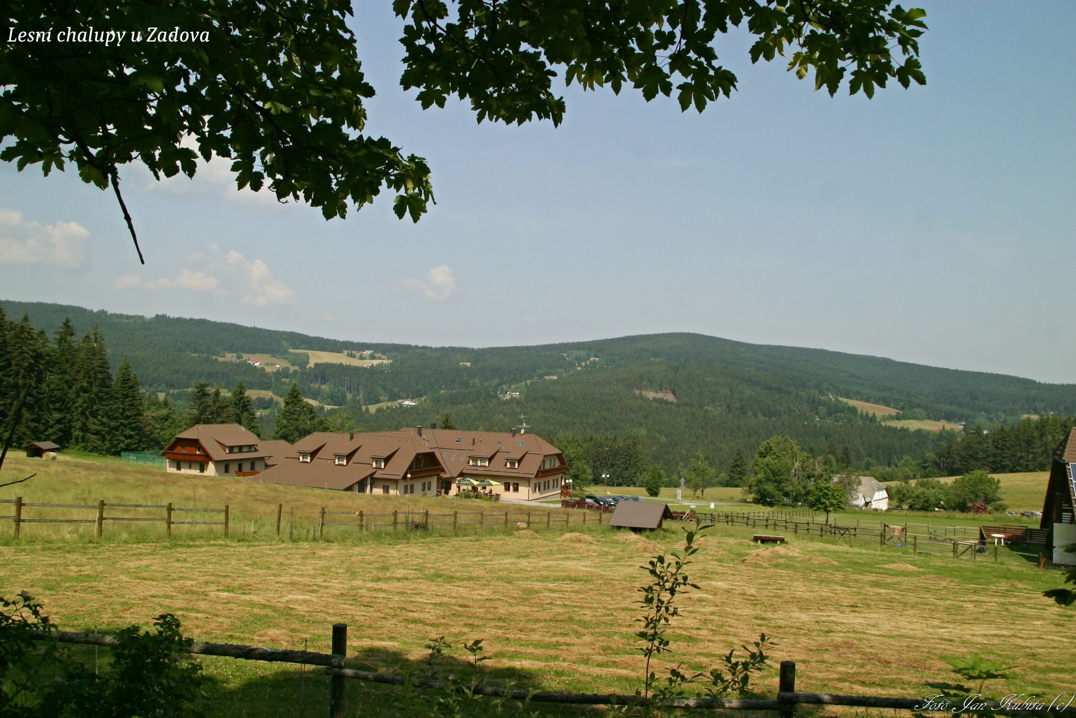 lesnichalupyuzadova1