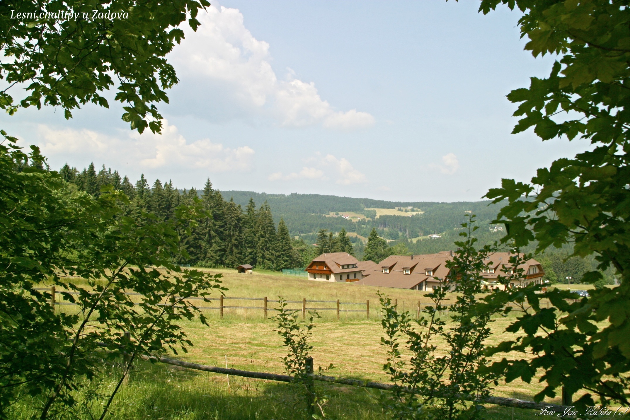 lesníchalupyuzadova2