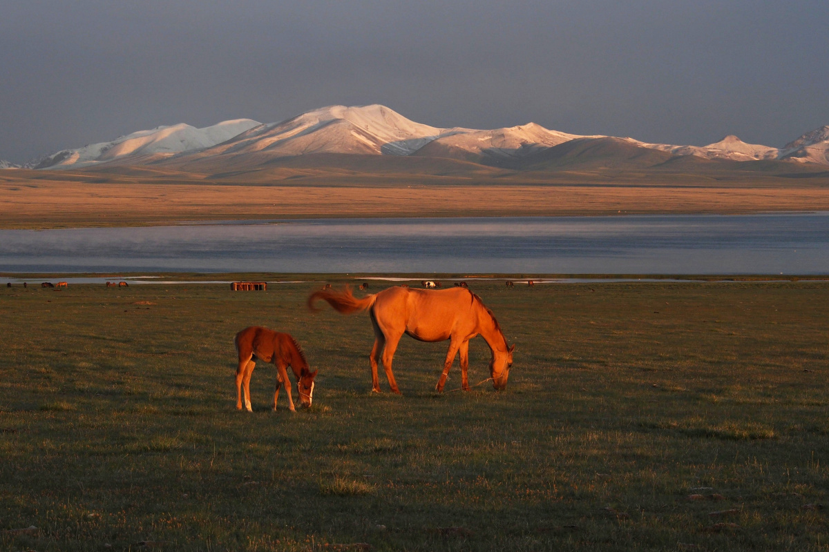 kyrgyzstan 9