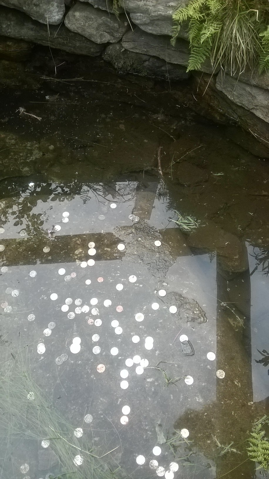 WP 20150823 18 38 44 Pro