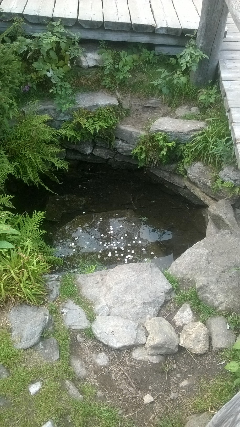 WP 20150823 18 39 52 Pro