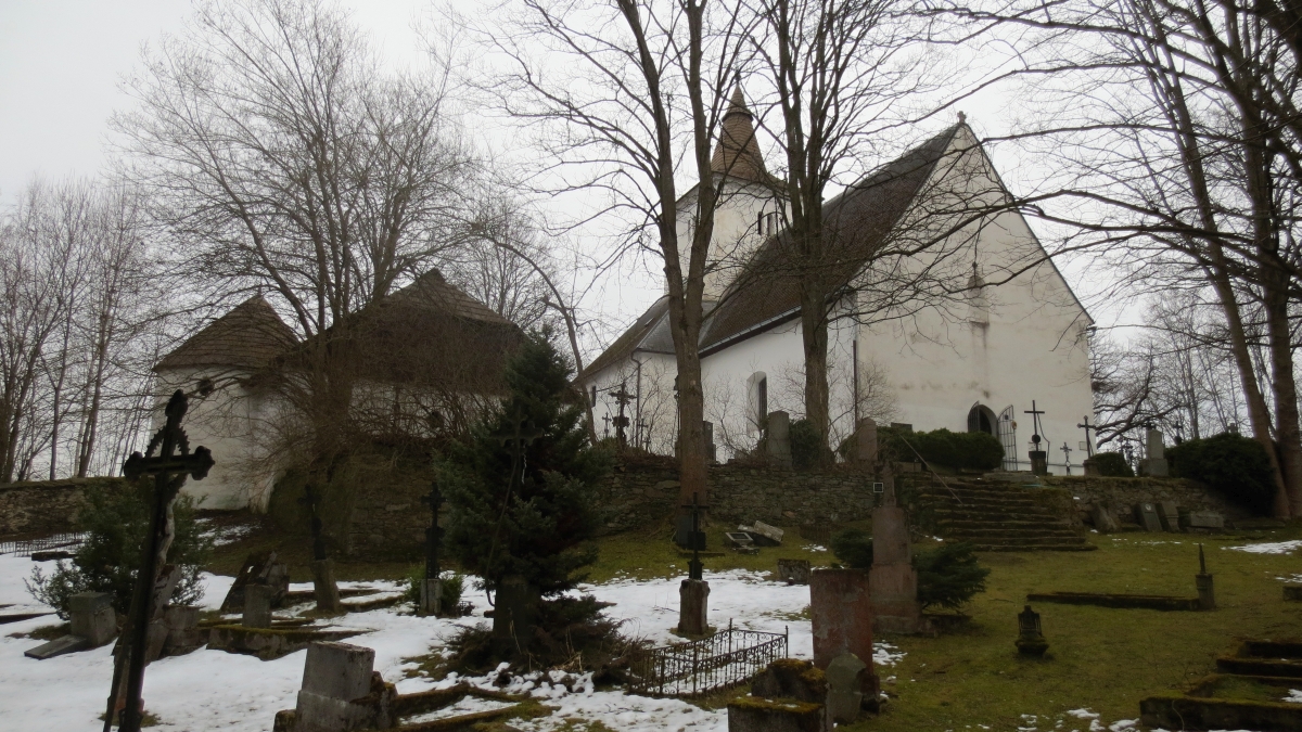Mouřenec na sklonku zimy - foto Jana Kadlecová