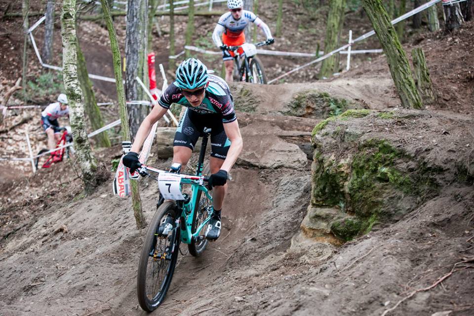 12994570 1299459223402357 1900002227436016651 n