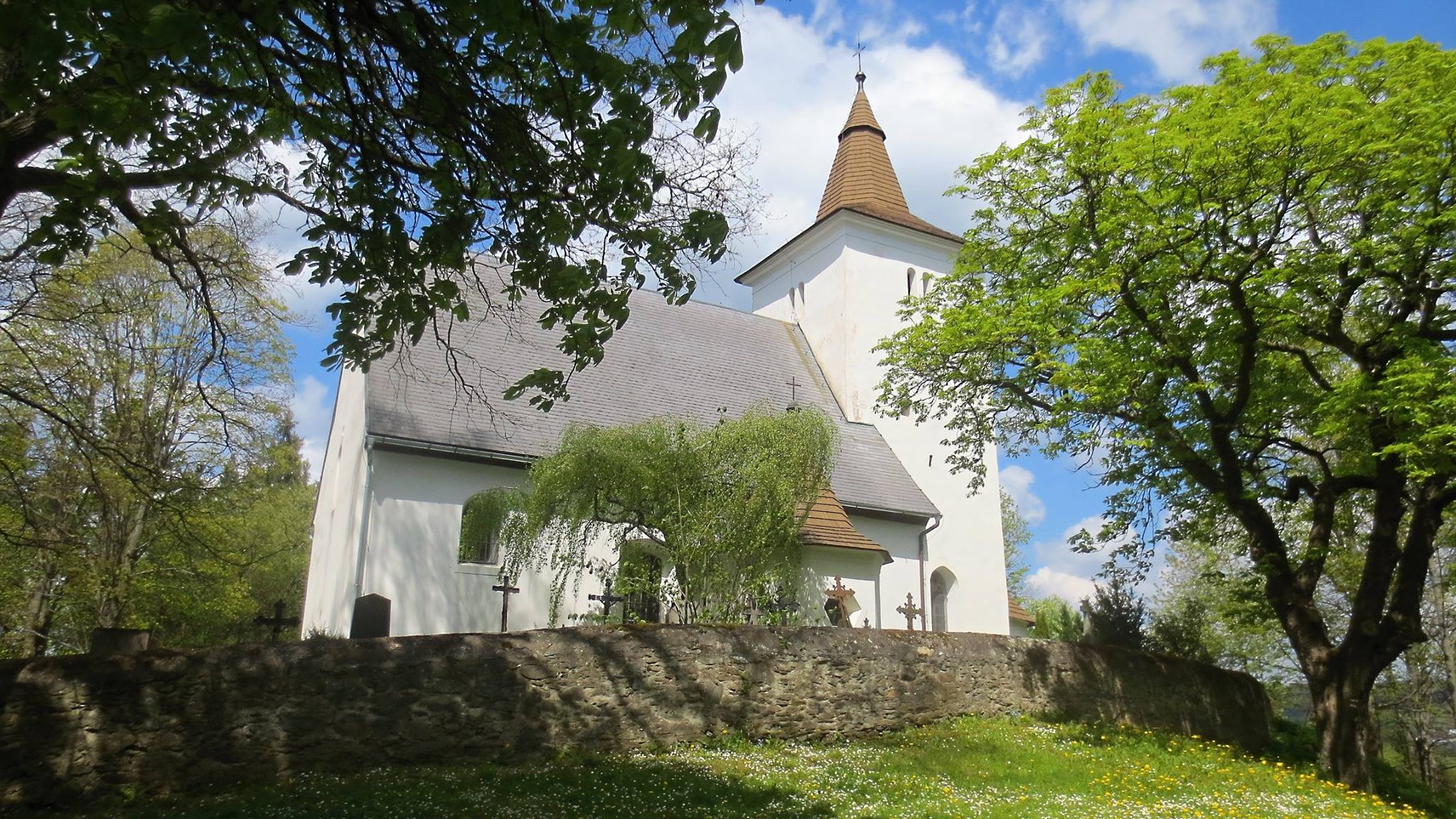 mouřenec v těchto dnech - foto jana kadlecová