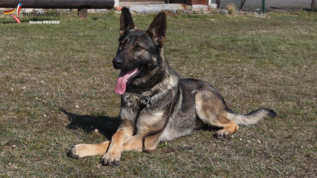 skolka policie 2016 25