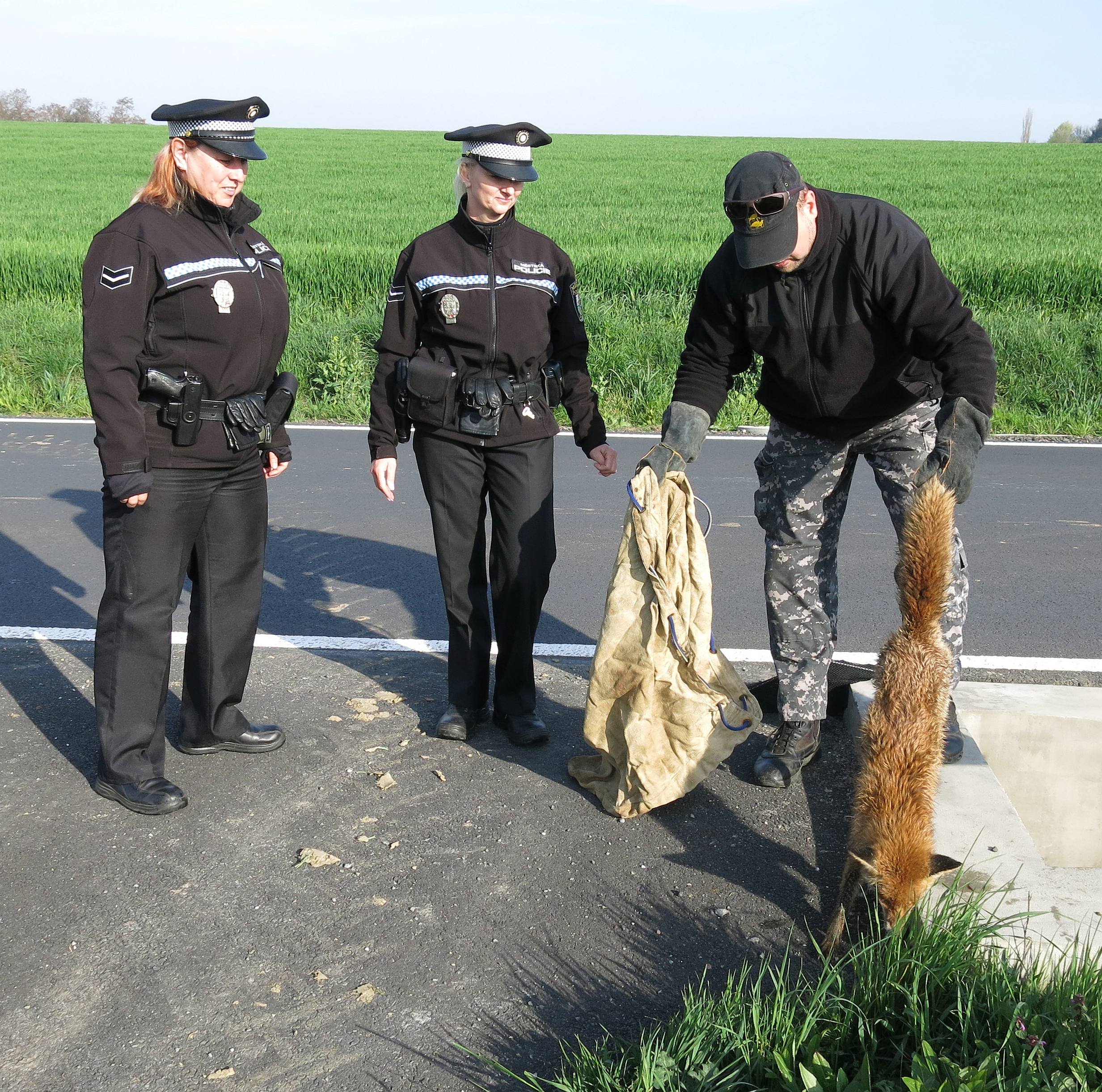 plzen - bozkov 2016 (1)