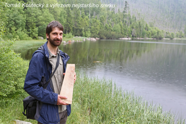 tomáš koutecký s výřezem nejstaršího smrku. foto-štěpán rosenkranz