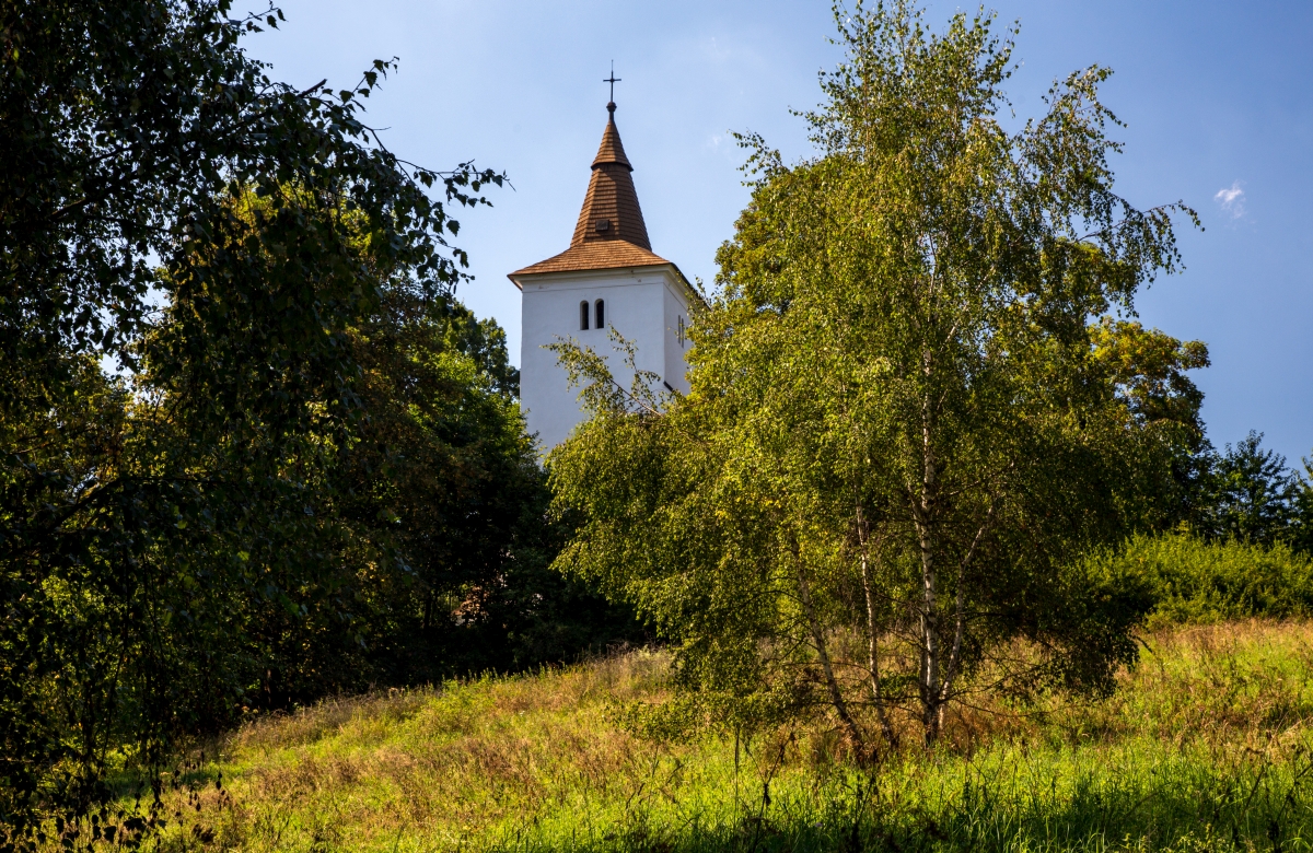 letní mouřenec - foto jitka marková
