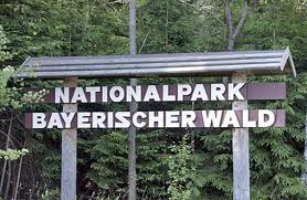 GBAYER Duitsland Bayerischer Wald 8 dagen1