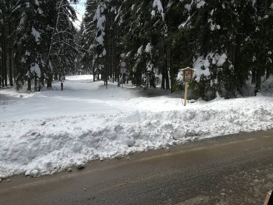 18157618 10202992144040923 4831129951615304364 n