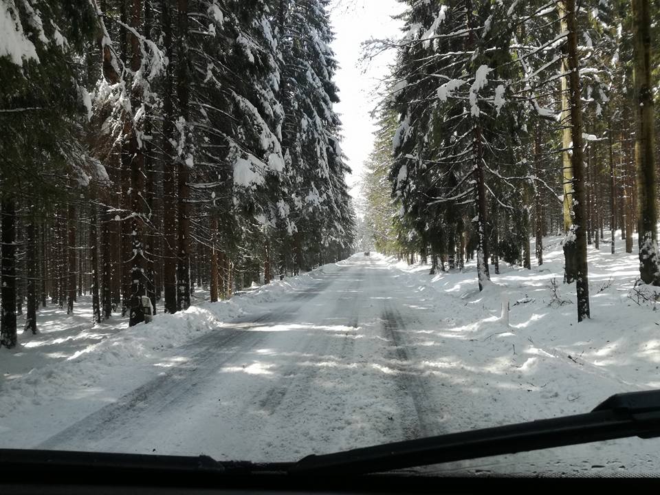 18157806 10202992143440908 7055322355918450205 n