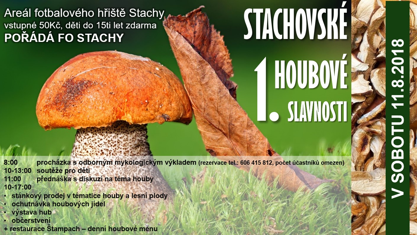 11.8. stachy