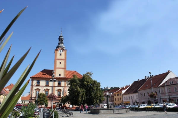 susice radnice ilustr