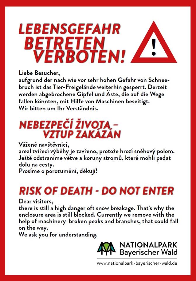 51001632 10156190341562901 793366212888231936 n