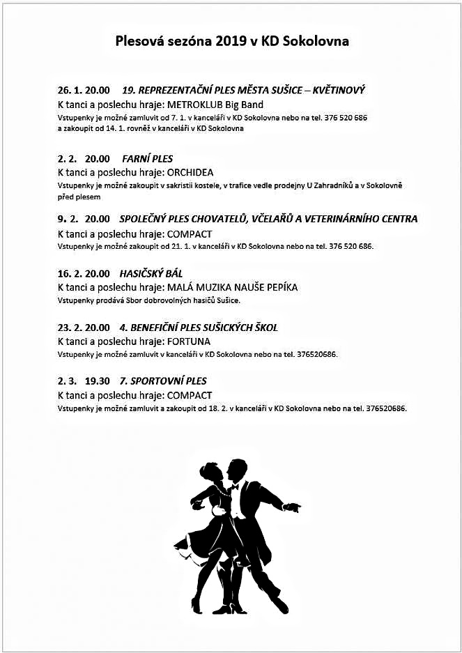 plesy sokolovna susice