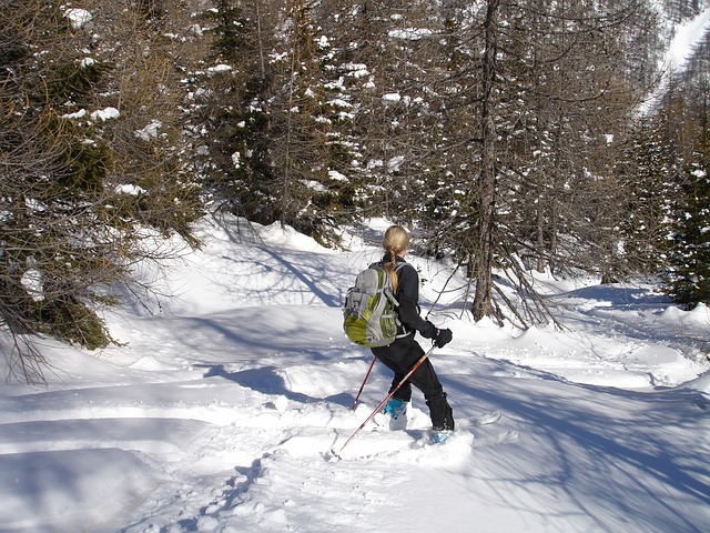 ski-tour-273051 640