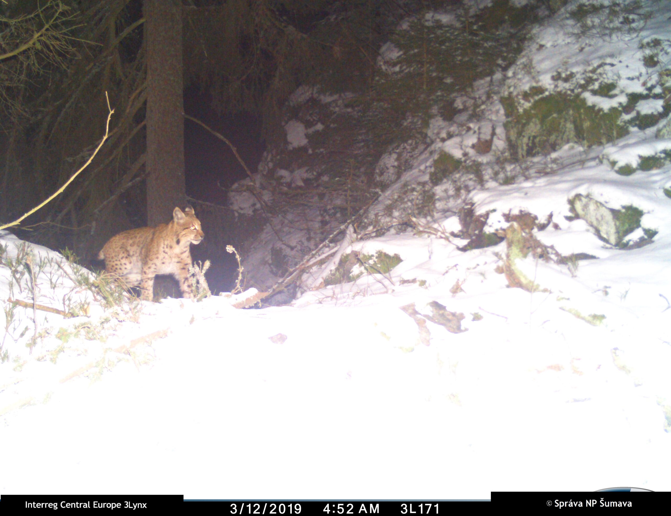 2019-03-12 fabian lg