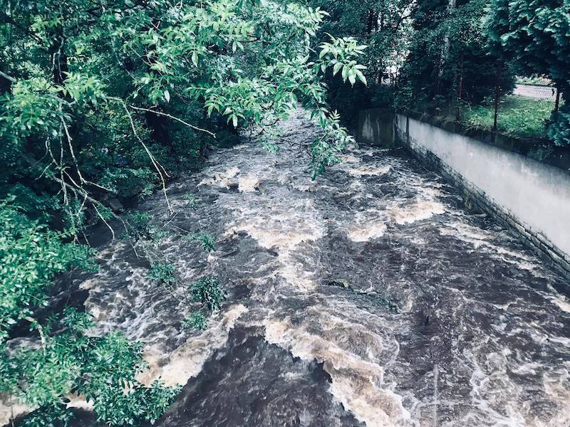 116714462 212360133515168 4630281579646294174 n