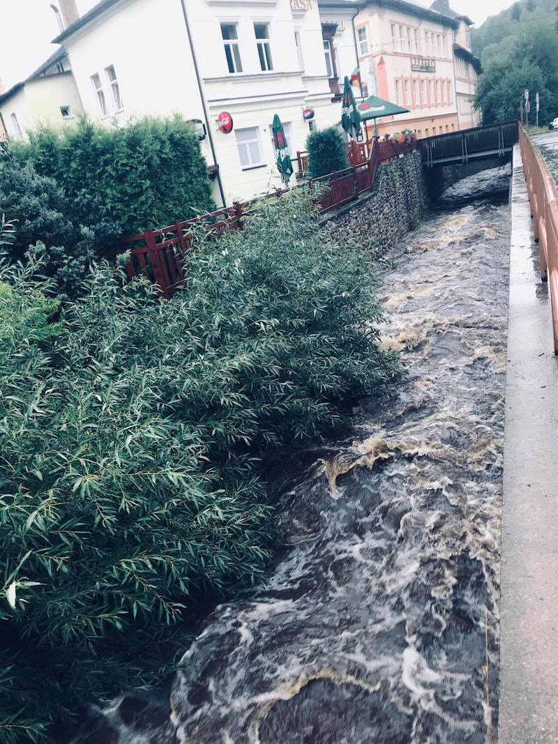 116799608 765935464161438 7627012106671730185 n