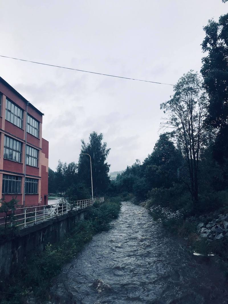 116861727 1221806708176633 5789560628349376395 n