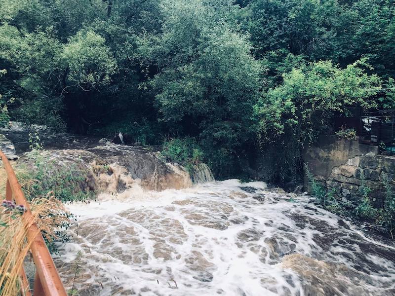 117312333 1550406698471693 6176066023902356547 n