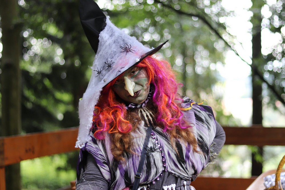 117904908 1259563937709462 124843414285173799 o