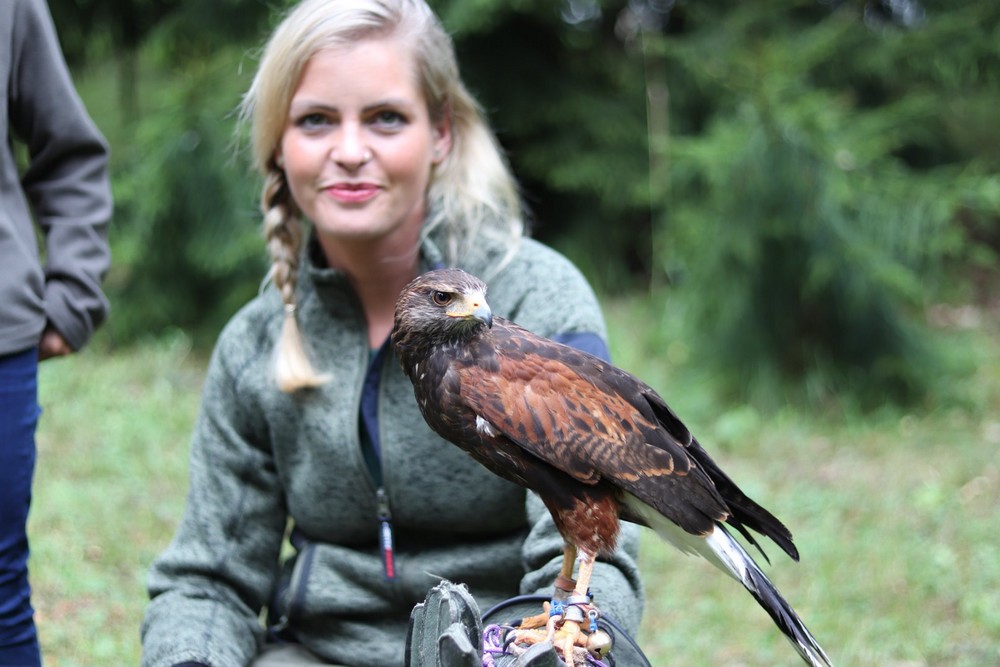 117911084 1259564834376039 1756983590822856244 o