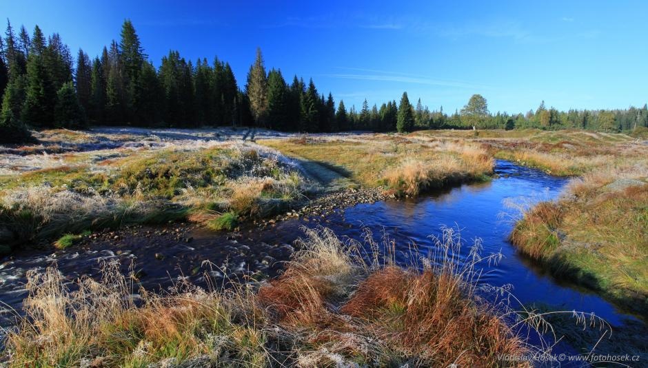 574-na-soutoku-roklanskeho-potoka-rokytky